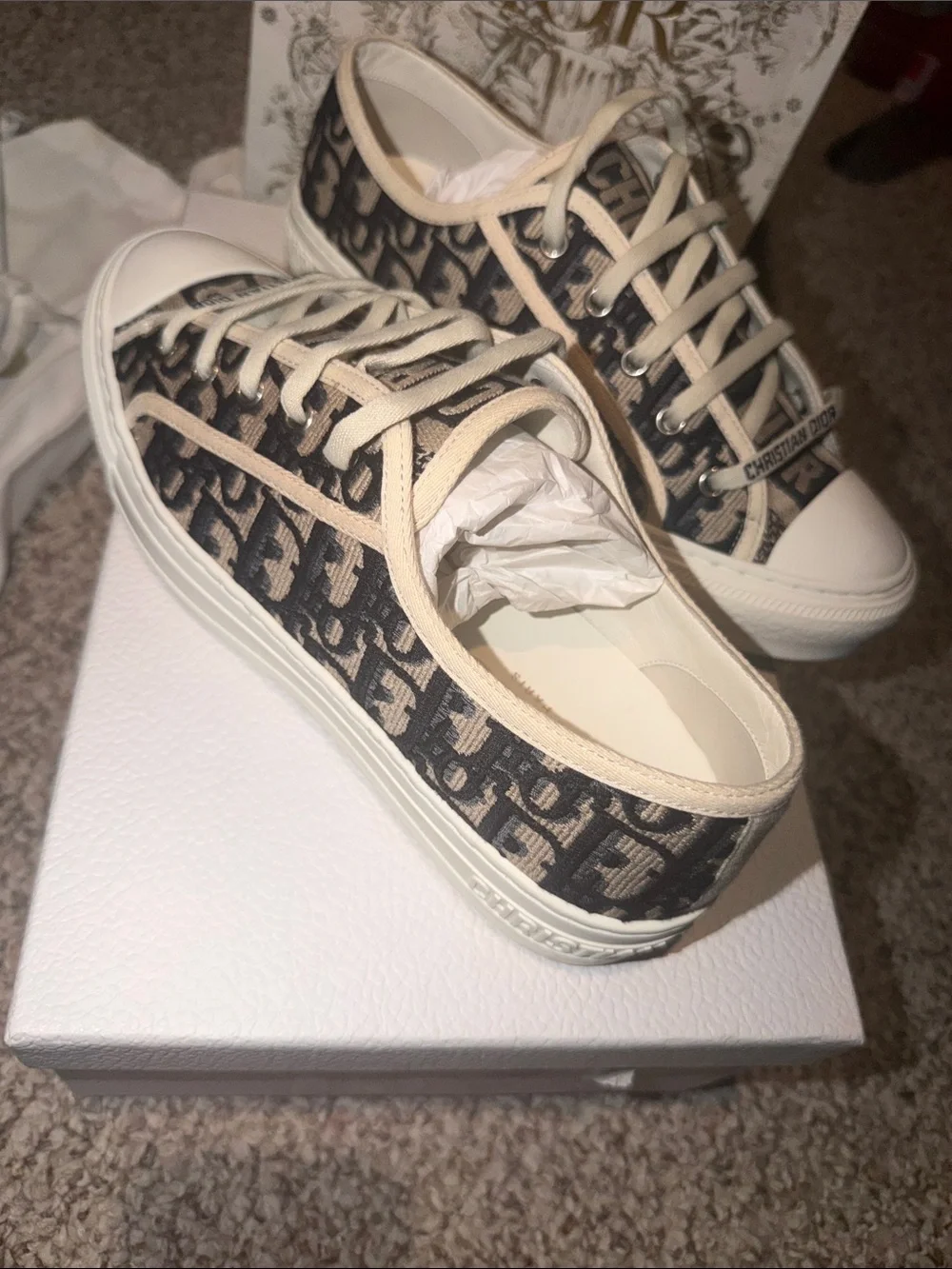Dior Beige and Navy Blue Canvas Low-Top Sneakers